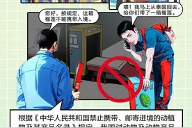 出游在外，别忘了“国家安全”③丨去国外旅游想带“土特产”回国？小心犯法图片