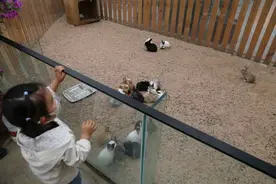 菜博会上来打卡，农业体验新风尚！图片