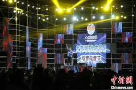 新疆和田首届“音乐电音节”开幕 游客嗨翻天图片