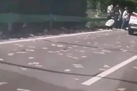 高速上散落大量现金？目击者：仔细一看是……图片