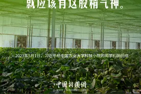 【青春中国】习言道｜青年人就要“自找苦吃”，说得很好图片
