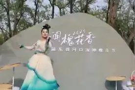 【快乐“五一”假期】东营黄河口：游万亩槐林 闻槐花飘香图片