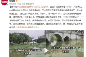 70元游荷花世界不见荷花只见垃圾 网友：现在还不是荷花开放季节图片