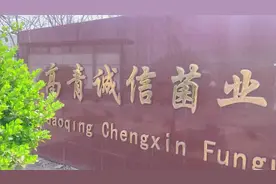 淄博菌业：做强全产业链打造总部经济丨标准化引领现代农业发展一线调研行①图片