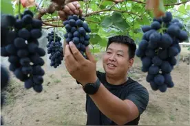 沃野逐梦 青春C位图片