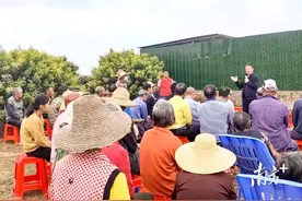 如何延长荔枝保鲜期？看看专家怎么说图片