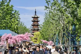 城事｜上海龙华庙会时隔8年重启，五一参与人数逾6万人次图片