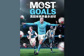 哈兰德打破尘封28年的英超单赛季进球纪录图片