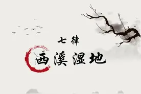 七律·西溪湿地图片