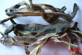 女子喝药发现成分是蟑螂  专家：多种虫类经专业炮制可入药图片