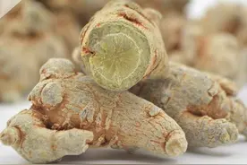 瑞龙中药大讲堂｜三七图片