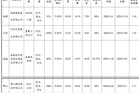 新希望地产拟发行8亿元中票，由中债增进行全额担保图片