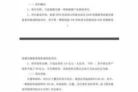 天宸股份拟投资116亿元建设新能源产业基地项目图片