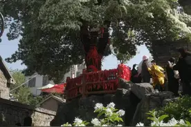 青未了丨流苏山村（散文）图片