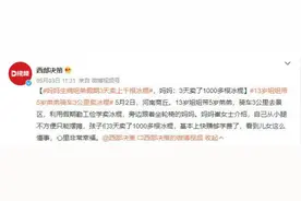妈妈生病姐弟3天卖上千根冰棍 妈妈：非常幸福图片