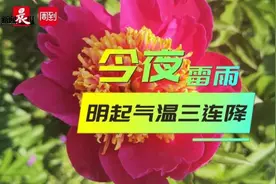 “上海打雷”登热搜？“大到暴雨”也要来了，还要降温…… | 晨天气图片