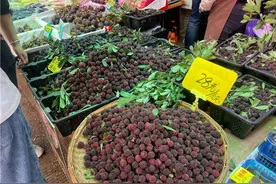 昆明荔枝高价上市 杨梅价格大跳水图片