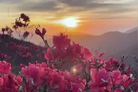 假期旅游热 双牌“五一”共接待游客32.4万人次图片