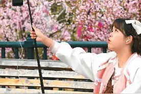 “鲜花经济”别样红图片