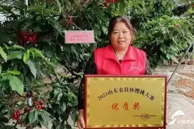 喜讯！枣庄山亭翼云诚信家庭农场樱桃荣获“山东农技杯”樱桃大赛优质奖图片