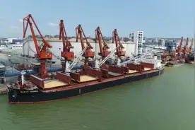 中国从南非进口首船饲料玉米，专家：进口玉米“美国独大”格局正被改写图片