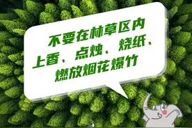 【教育】6月17日开考！这份提示请查收→图片