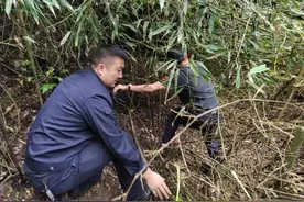 湘西七旬老人上山挖笋走失，警群协力30小时终找回图片