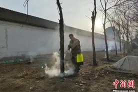 山间绿色守护人：二十载与林为伴以山为家图片