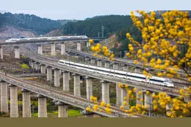 来，数一数图中共有几个铁路桥洞图片