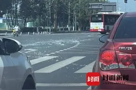 成都杨、柳、法桐飞絮惹人恼 专家：莫因此忽略其绿化效益图片