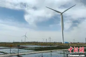 探访内蒙古“羊草小镇”：既护生态 又富口袋图片