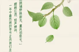 春意藏 夏初长 愿你生如夏花 永远灿烂热烈！图片