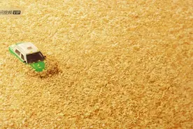 超23.7万人打出9.5分，《漫长的季节》凭什么征服观众？图片