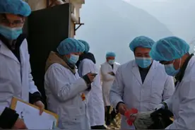 四川阿坝州“羌山云朵鸡”“黑水凤尾鸡”可望列入国家畜禽遗传资源品种名录图片