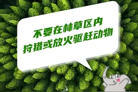 2023年高考语文全国卷试题评析来了→图片