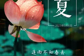 今日立夏丨连雨不知春去 一晴方觉夏深图片