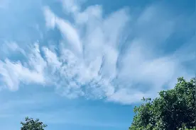 组图｜济南：雨过天晴白云飘图片