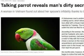 丈夫出轨，被鹦鹉模仿露骨言语揭穿图片
