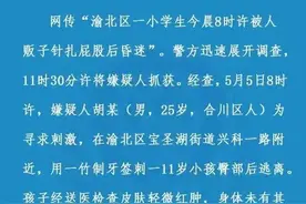 小学生被人贩子针扎屁股昏迷？警方通报图片
