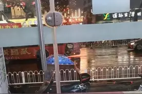 雨后小飞虫成群出动，在南京遇到白蚁该怎么办？图片