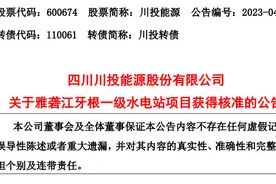 雅砻江牙根一级水电站项目获得核准图片