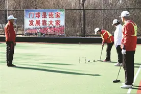 门球图片