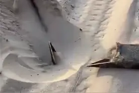 网传一沙漠景区沙下埋20厘米三角钉致使多车爆胎 官方回应：已展开调查图片