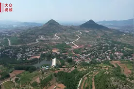 视频丨山东邹城：酸枣芽直播间出峪记图片