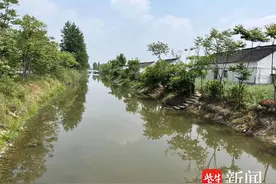 七旬老人不慎落水   
热心路人奋不顾身跳河救人图片