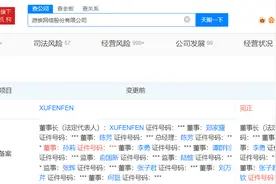 游族网络创始人林奇遗孀卸任董事长，三体系列游戏仍在开发图片