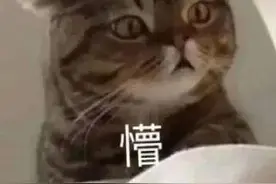 “电老鼠”，一个都跑不掉！｜“佛安2023”图片