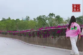 视频 | 时值立夏，滨海湾夏日已露尖尖角图片