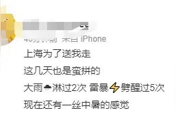 黄梅天的体感！上海人最怕的飞虫已蠢蠢欲动？盲目消杀很危险图片