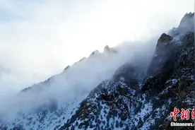 柴达木盆地柏树山云海翻腾宛若仙境图片